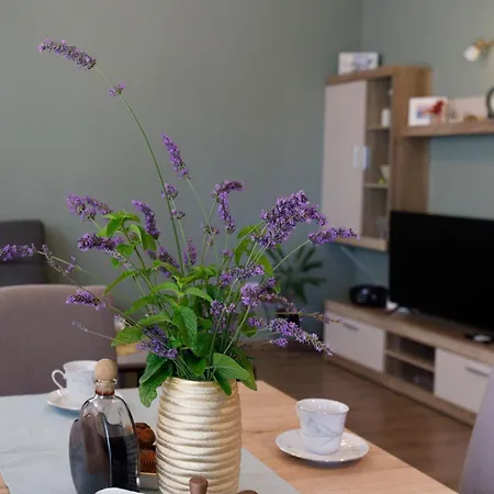 Blue Hébergement de vacances